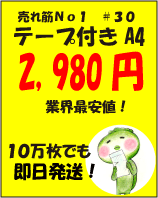 テープ付A4サイズ #30