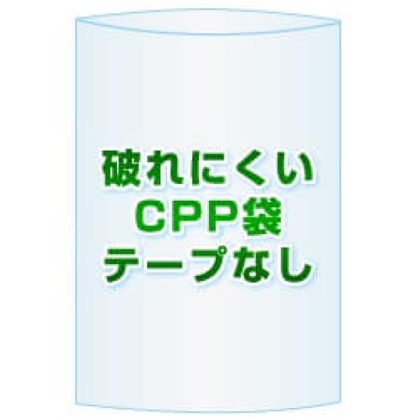 画像1: CPP(シーピーピー)袋(フタなし)【#50 220x590 5,000枚】 (1)