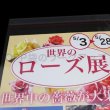 画像2: カットテープ付OPP袋 A4用 標準#30 (2)