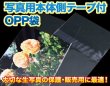 画像2: OPP袋テープ付 写真2L判 1枚用 本体側開閉自在テープ 標準#30 (2)