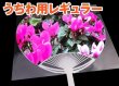 画像2: うちわ用OPP袋 テープ付 レギュラー 本体側開閉自在テープ 標準#30 (2)