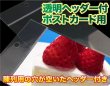 画像2: 透明ヘッダー付OPP袋 ポストカード用 標準#30 (2)