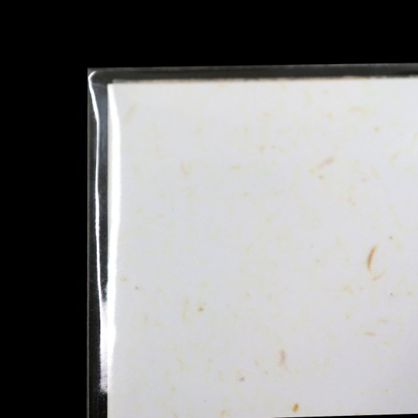 画像9: 透明ブックカバー 平凡社ライブラリー用 厚口#40 (9)