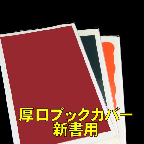 画像1: 透明ブックカバー 新書実用書用 厚口#40 (1)