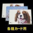 画像1: OPP袋テープなし 各種カード用袋 特厚#50 (1)