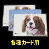 OPP袋テープなし 各種カード用袋 特厚#50