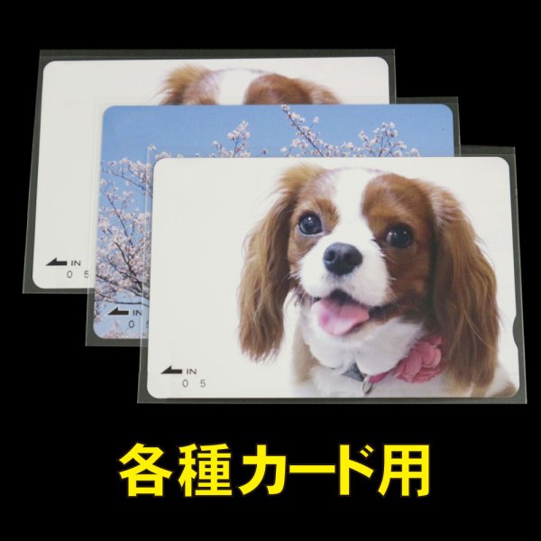 画像1: OPP袋テープなし 各種カード用袋 特厚#50 (1)