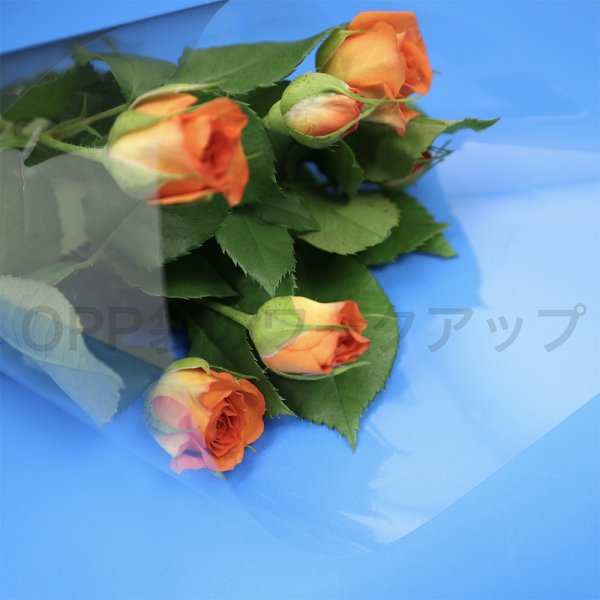 画像8: 透明OPPロール (セロハンロール) 小巻ラッピング用 700mmx30m 厚口#40 (8)