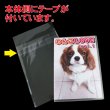 画像2: OPP袋テープ付 DVDトールスリム用アマレータイプ 本体側密着テープ 標準#30 (2)