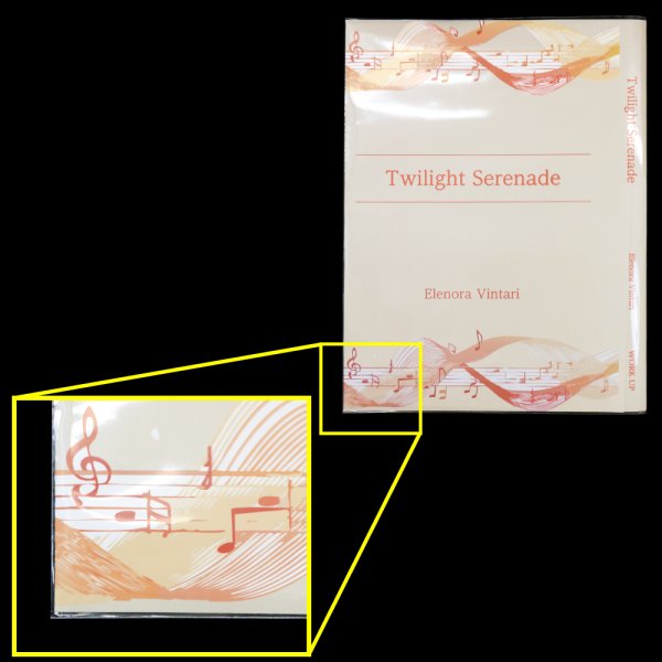 画像2: #40 厚口透明ブックカバー 楽譜(W570XH308)用 (2)