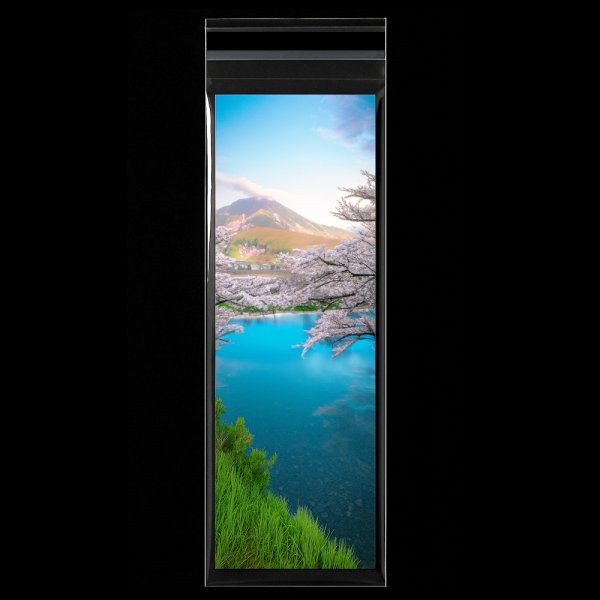 画像2: OPP袋テープ付 100x280+40 標準#30 (2)