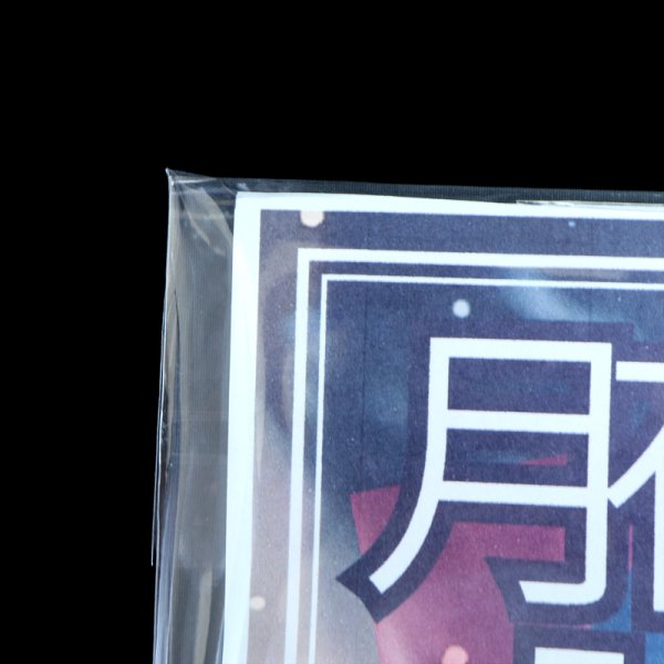 画像8: ブック展示用袋 (OPP袋本体側開閉自在テープ付) B5判同人誌用 標準#30 (8)