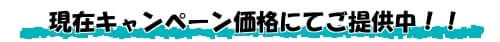 現在キャンペーン価格にてご提供中！