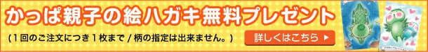 かっぱ親子の絵ハガキ無料プレゼント（1回のご注文に付き1枚まで、柄の指定はできません。）