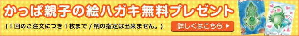 かっぱ親子の絵ハガキ無料プレゼント（１回のご注文に付き１枚まで、柄の指定はできません。）