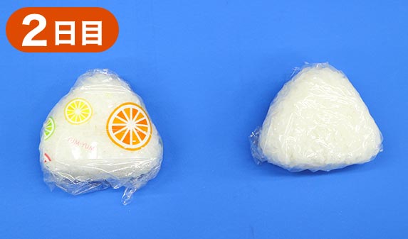 抗菌効果実験2日目