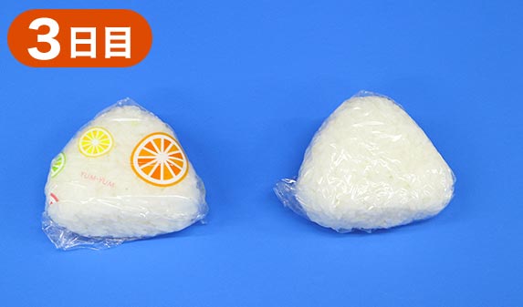 抗菌効果実験3日目