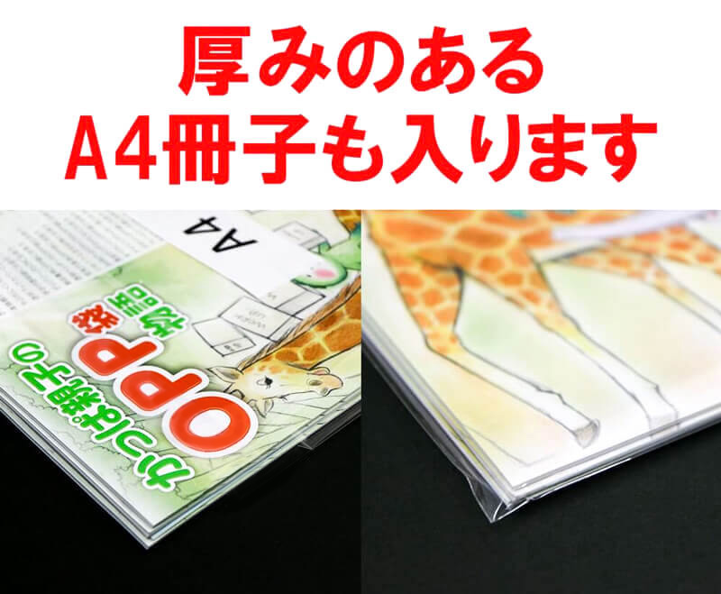 厚みのあるA4冊子も入ります