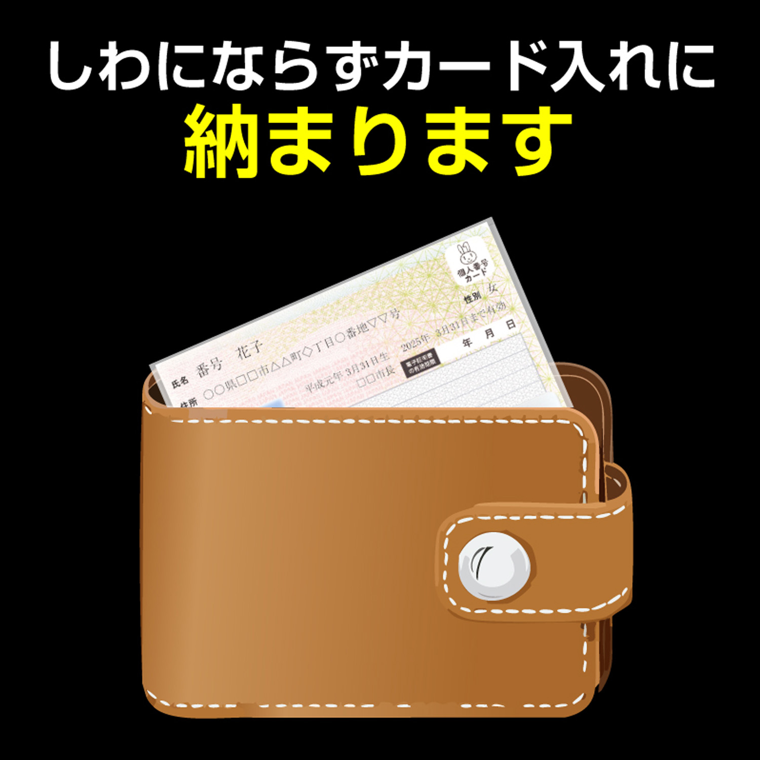 しわにならずカード入れに納まります