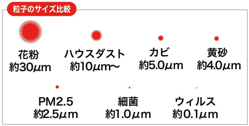 粒子のサイズ比較表